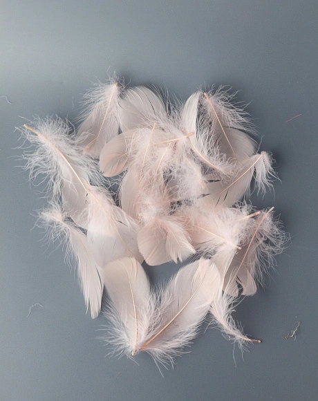 Перья гусиные мягкие 20 шт, персиковый нюд