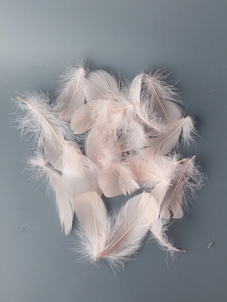 Перья гусиные мягкие 20 шт, персиковый нюд