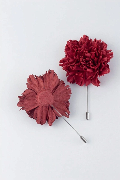 Гвоздика "Ника", барбарис