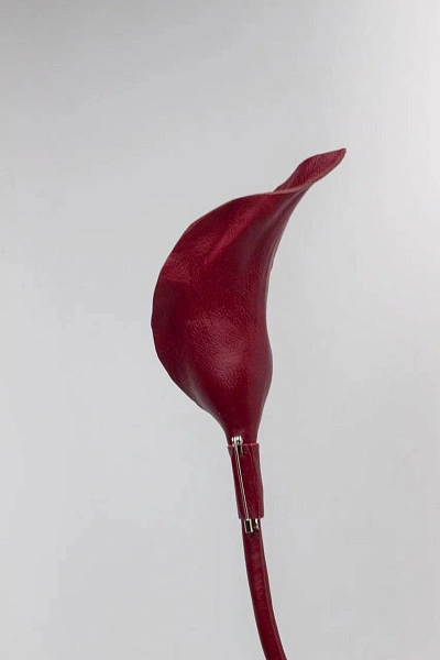 Калла "Адам", бургунди