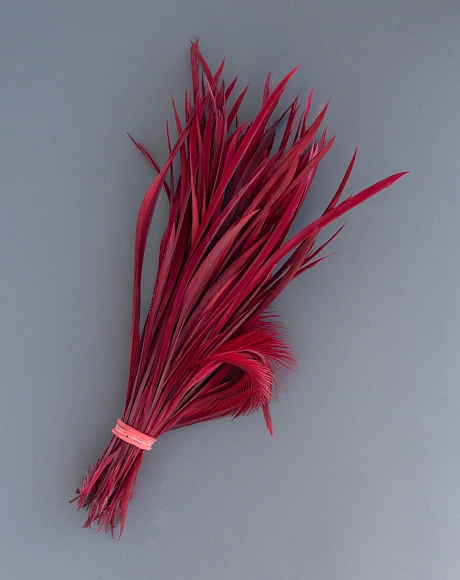 Перья гусиные зауженные "Стрела" цвет винный