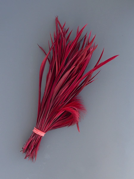 Перья гусиные зауженные "Стрела" цвет винный