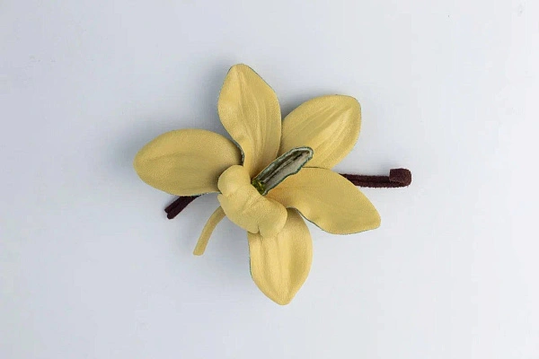 Орхидея «Лаура», ваниль