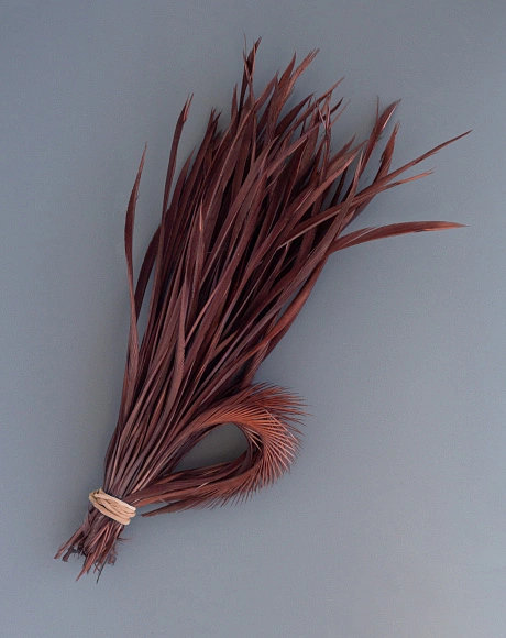 Перья гусиные зауженные "Стрела" цвет коричневый