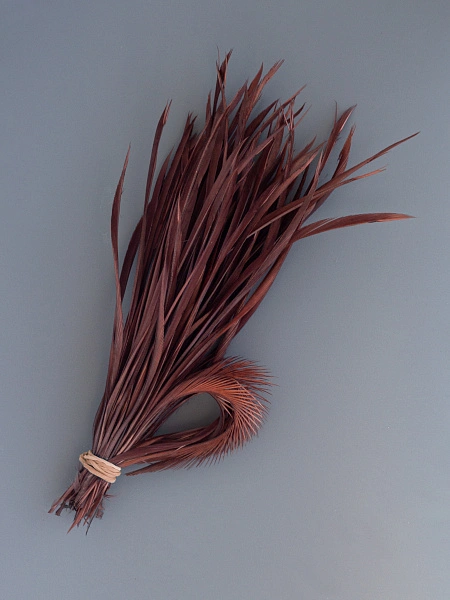 Перья гусиные зауженные "Стрела" цвет коричневый