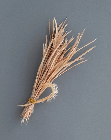 Перья гусиные "Стрела" бежевый 50 шт