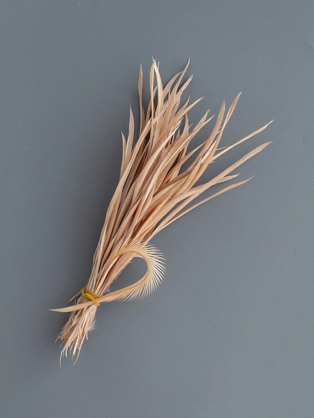 Перья гусиные "Стрела" бежевый 50 шт