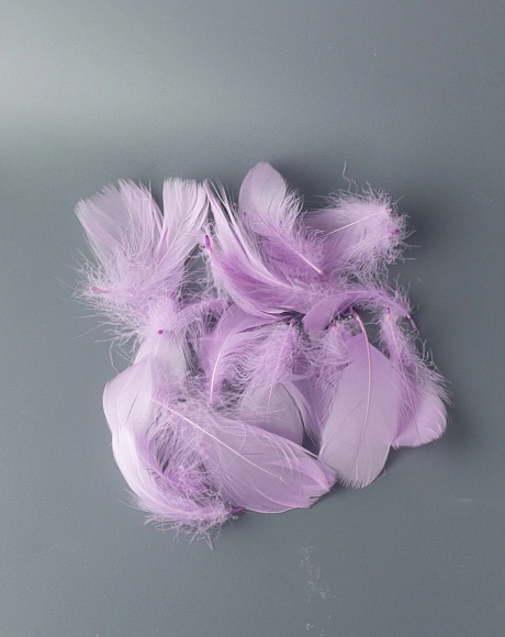 Перья гусиные мягкие 20 шт, сиреневый