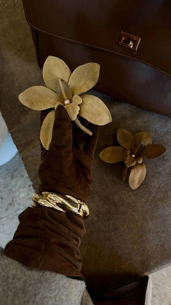 Орхидея «Лаура», кардамон