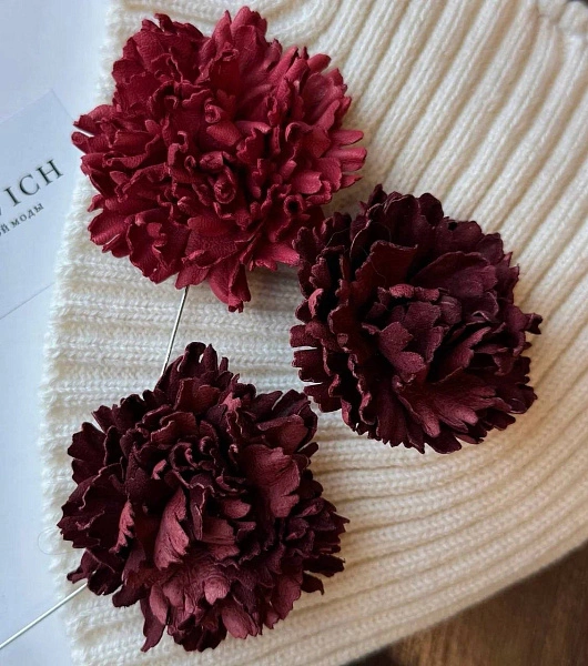 Гвоздика "Ника", барбарис