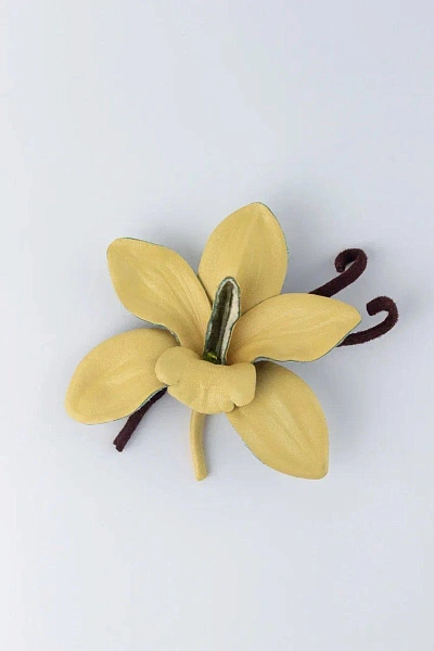 Орхидея «Лаура», ваниль