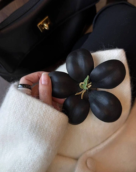 Тюльпан "Дориан", шунгит