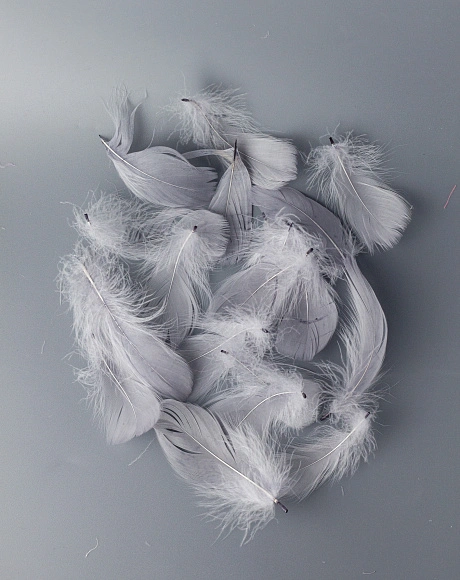 Перья гусиные мягкие 20 шт, серые