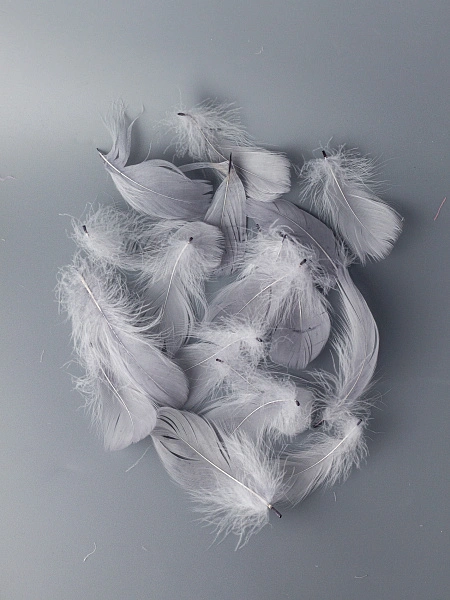 Перья гусиные мягкие 20 шт, серые