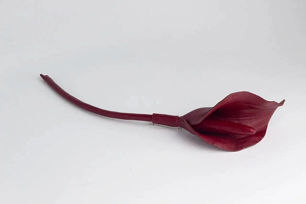 Калла "Адам", бургунди