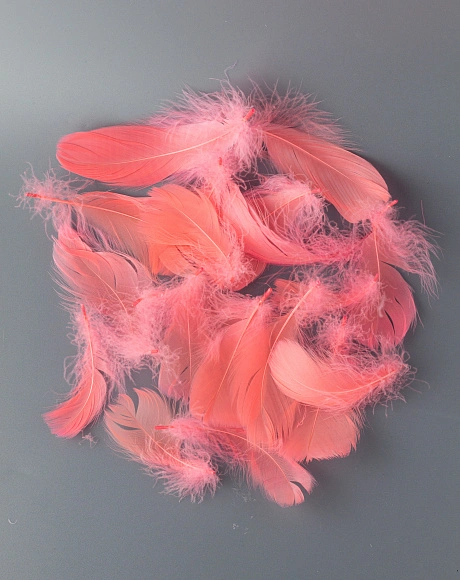 Перья гусиные мягкие 20 шт, арбузный розовый