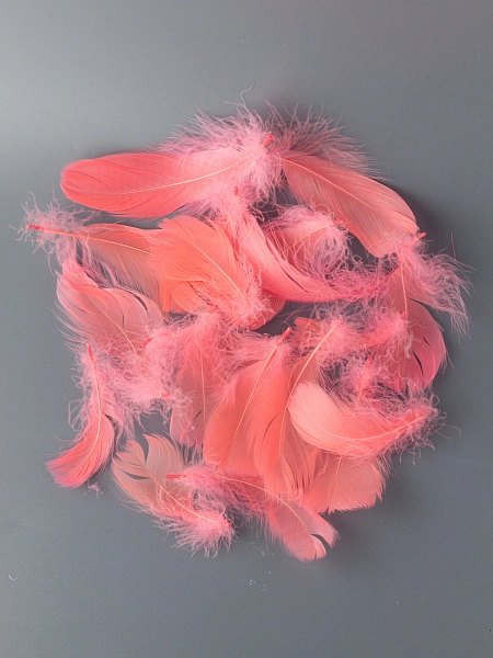 Перья гусиные мягкие 20 шт, арбузный розовый