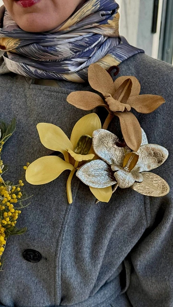 Орхидея «Лаура», кардамон