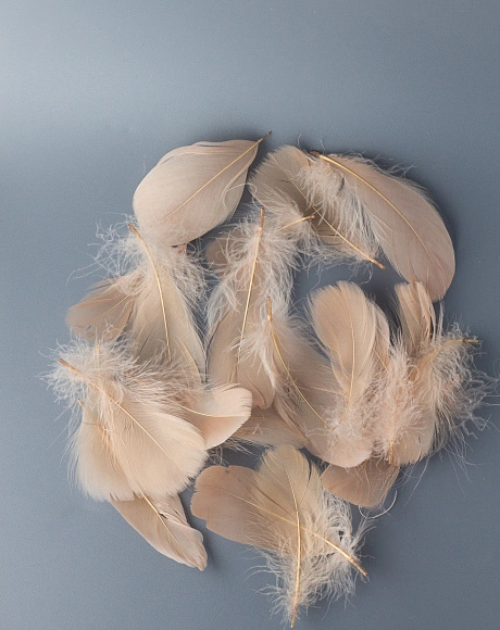 Перья гусиные мягкие 20 шт, песочный