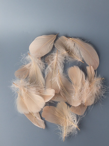 Перья гусиные мягкие 20 шт, песочный