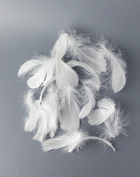 Перья гусиные мягкие 20 шт, белые