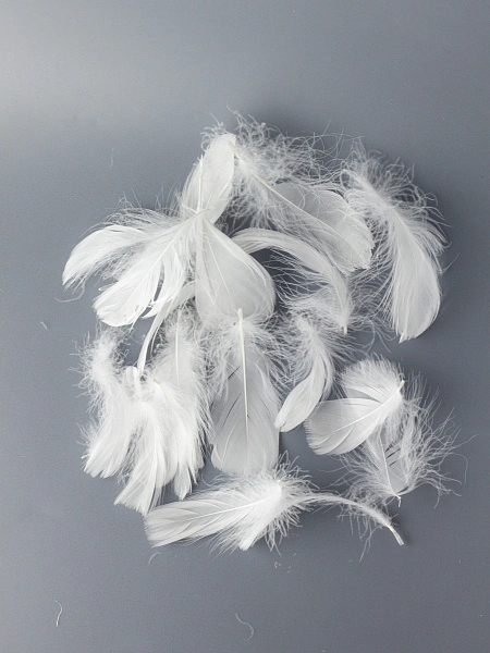 Перья гусиные мягкие 20 шт, белые