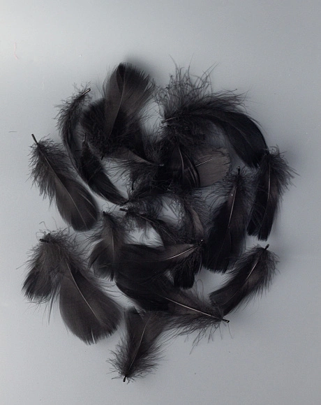 Перья гусиные мягкие 20 шт, чёрные