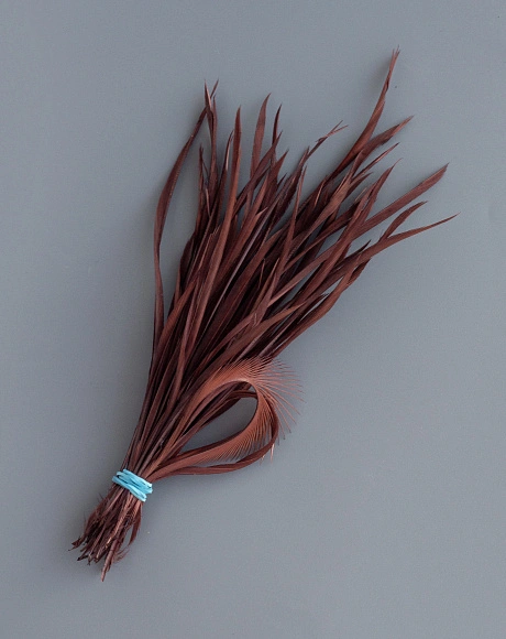 Перья гусиные "Стрела" коричневый 50 шт