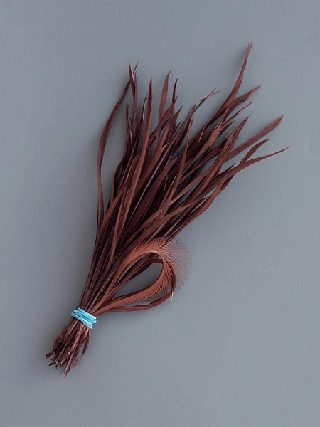 Перья гусиные "Стрела" коричневый 50 шт