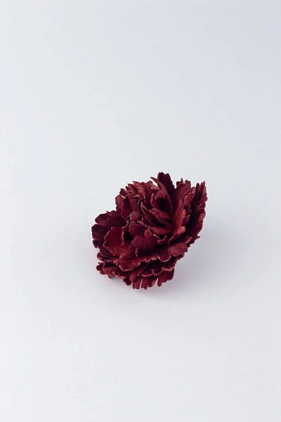 Гвоздика "Ника", шиповник