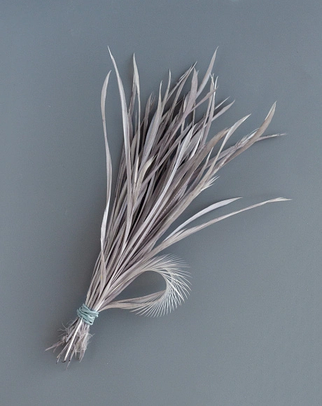 Перья гусиные "Стрела" серые 50 шт