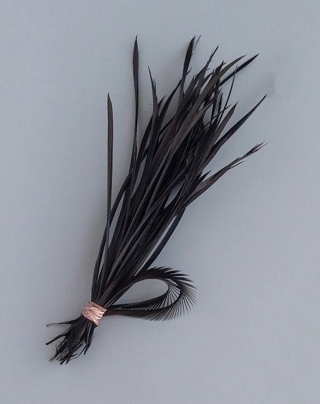 Перья гусиные "Стрела" чёрный 50 шт
